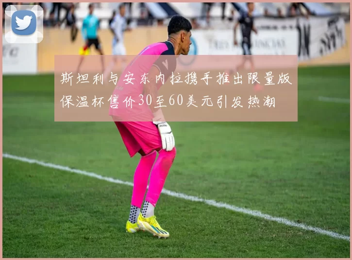 斯坦利与安东内拉携手推出限量版保温杯售价30至60美元引发热潮